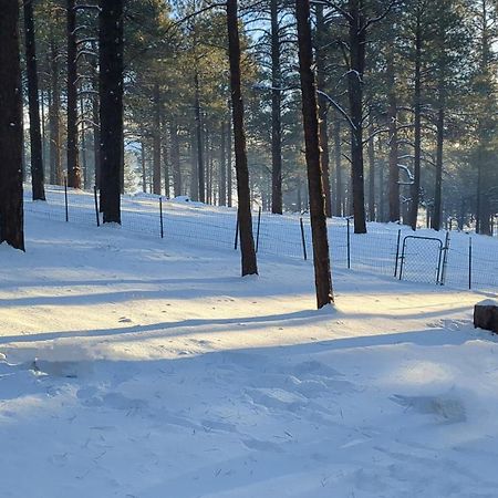 Close To Williams, Flagstaff, Grand Canyon And Sedona Bagian luar foto