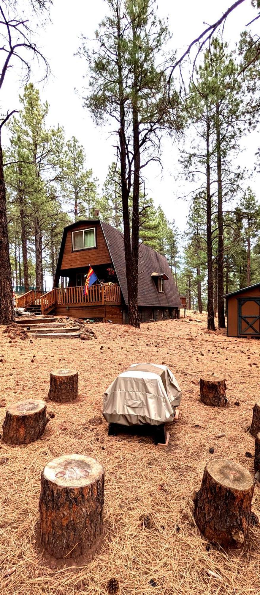 Close To Williams, Flagstaff, Grand Canyon And Sedona Bagian luar foto