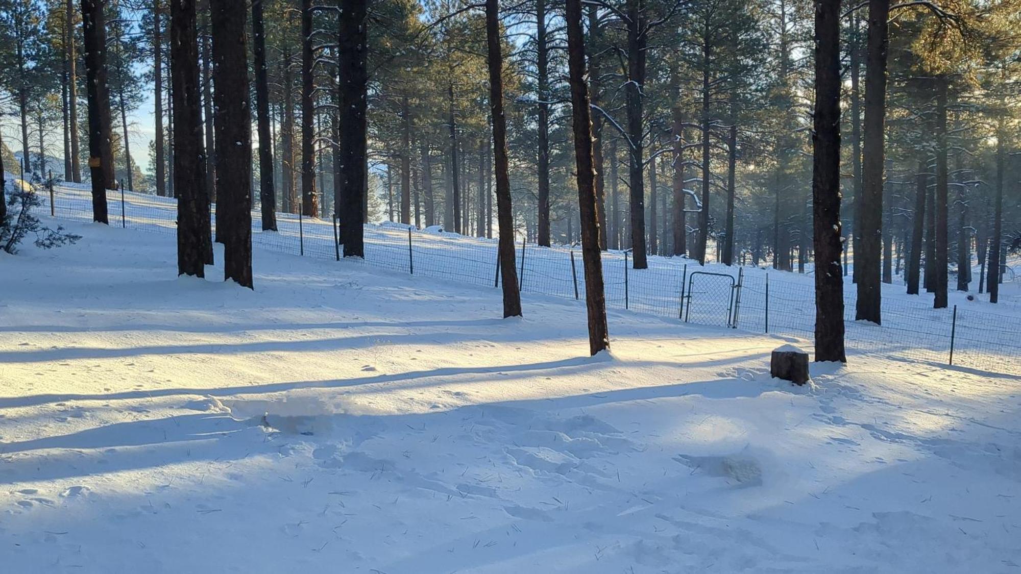 Close To Williams, Flagstaff, Grand Canyon And Sedona Bagian luar foto
