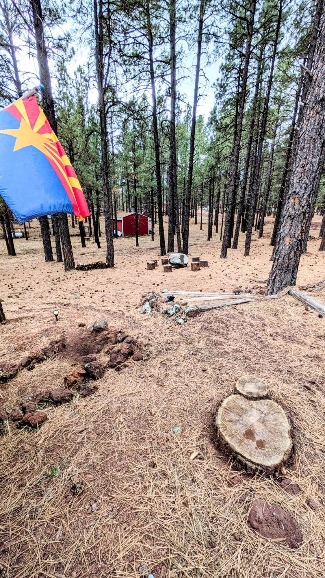 Close To Williams, Flagstaff, Grand Canyon And Sedona Bagian luar foto