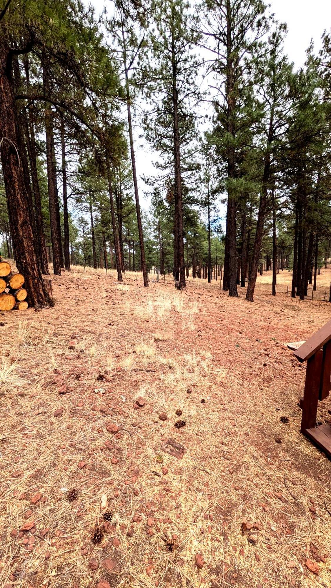 Close To Williams, Flagstaff, Grand Canyon And Sedona Bagian luar foto